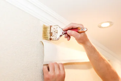 Pose de papier peint à Vaujany — revêtements muraux et toiles de verre